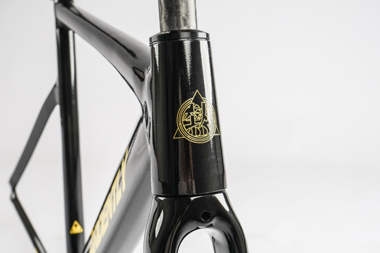 Ardently Sprint Pista Track Frame Set
