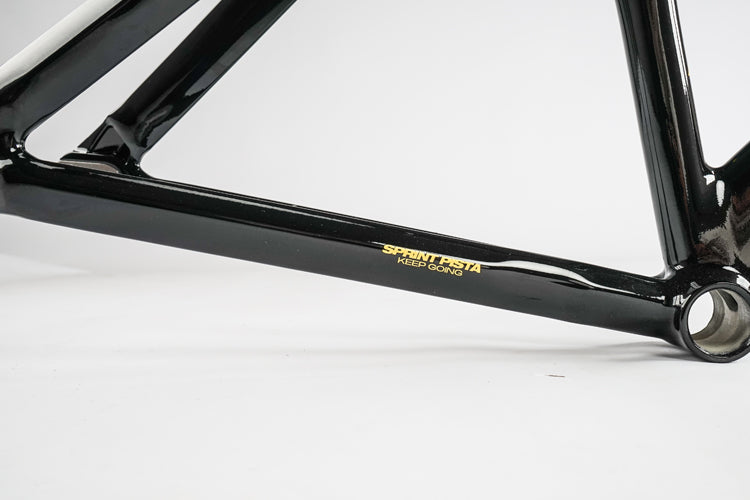 Ardently Sprint Pista Track Frame Set