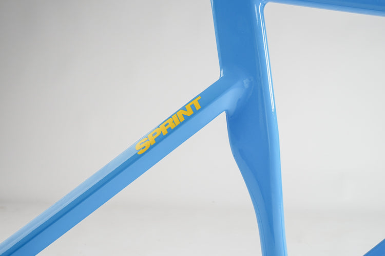 Ardently Sprint Pista Track Frame Set