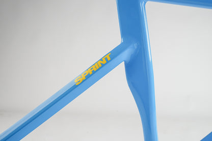 Ardently Sprint Pista Track Frame Set