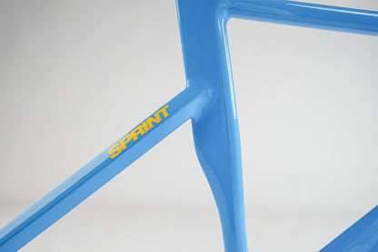 Ardently Sprint Pista Track Frame Set