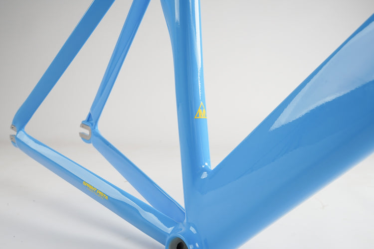 Ardently Sprint Pista Track Frame Set