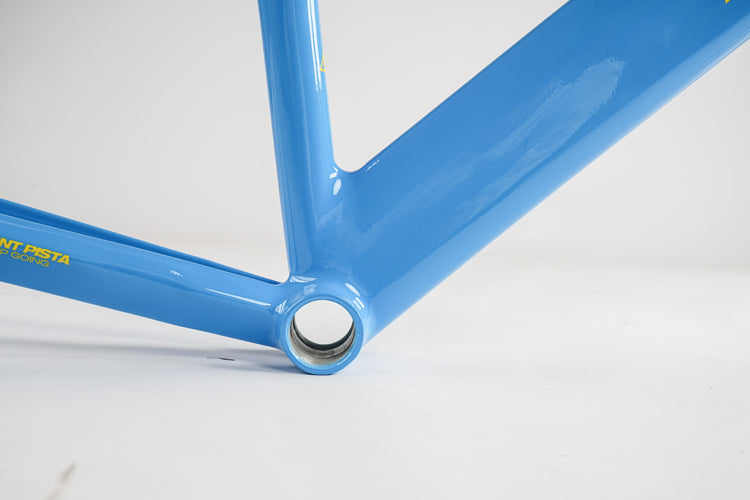 Ardently Sprint Pista Track Frame Set