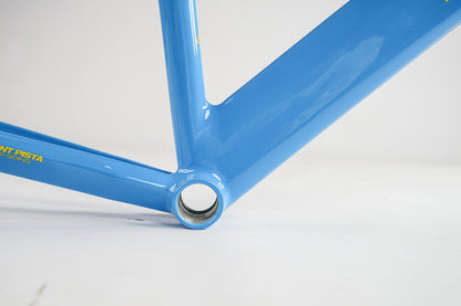 Ardently Sprint Pista Track Frame Set