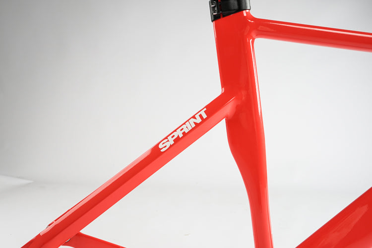 Ardently Sprint Pista Track Frame Set