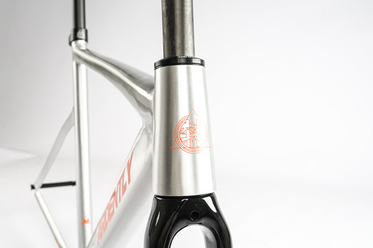 Ardently Sprint Pista Track Frame Set