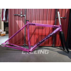 Song & Friends R3 Frame ONLY (48cm)