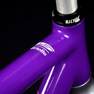 Brielle 2.0 Joker Track Frameset