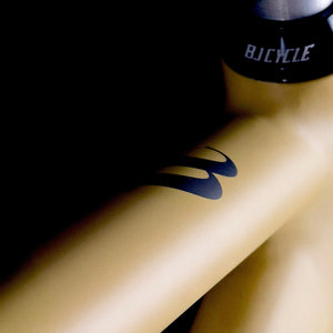 Brielle 2.0 Desert Citie Track Frameset