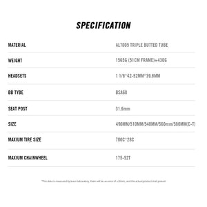 Lexon Lust 2024 Track Frameset
