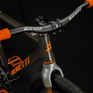 Brielle 2.0 Naruto Track Frameset