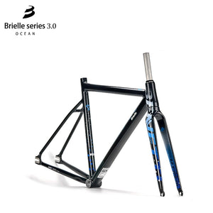 BJ Cycle Benetti Brielle 3.0 Ocean Track Frameset