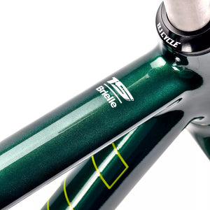 BJ Cycle Benetti Brielle 3.0 Forest Track Frameset