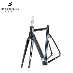 BJ Cycle Benetti Brielle 3.0 Ocean Track Frameset