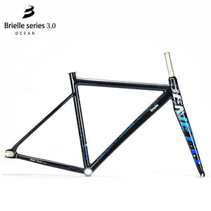 BJ Cycle Benetti Brielle 3.0 Ocean Track Frameset